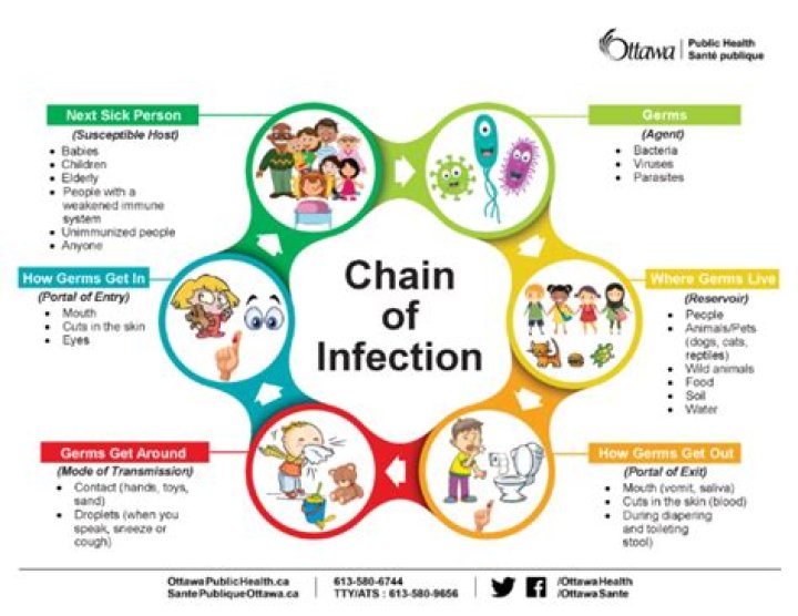 How do I get certified for infectious disease?