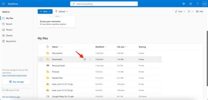 How do I remove Dllhost virus?
