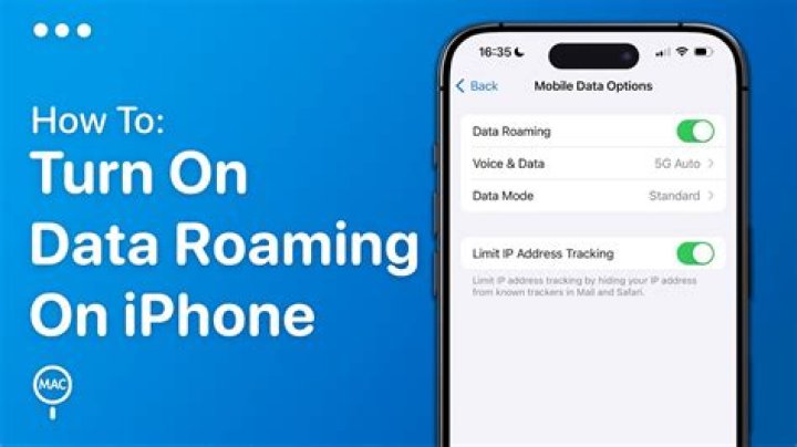 How do I turn on international data roaming on my iPhone?