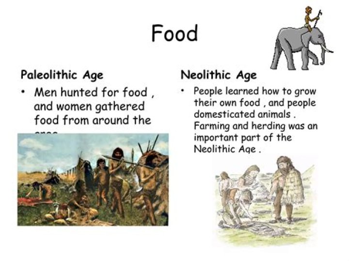 How do Paleolithic people get their food?