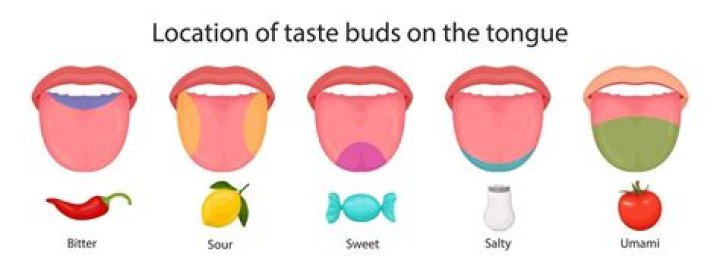 How do taste buds differ from person to person?