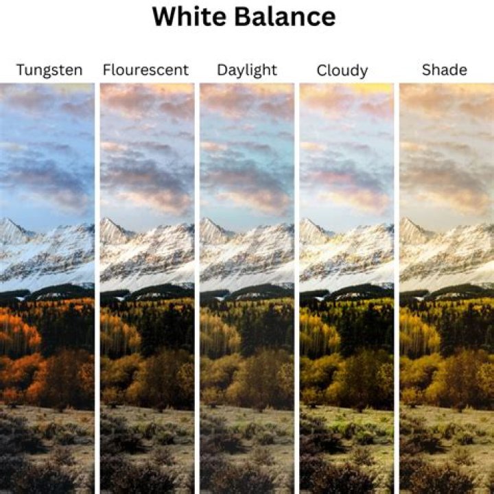 How do you adjust white balance for snow?