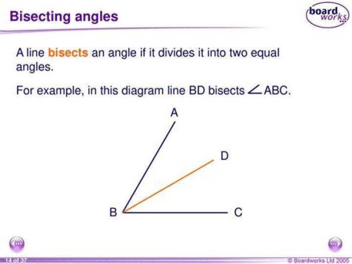 How do you bisect an angle in construction?