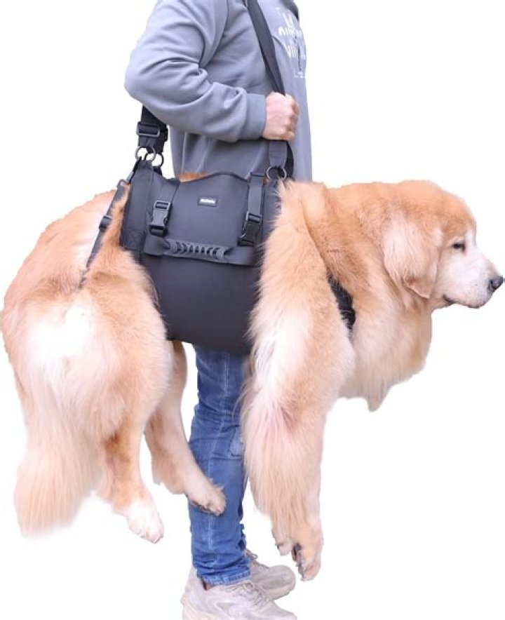 How do you carry a piggin string?