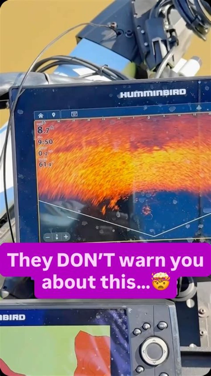 How do you get maps on Humminbird?