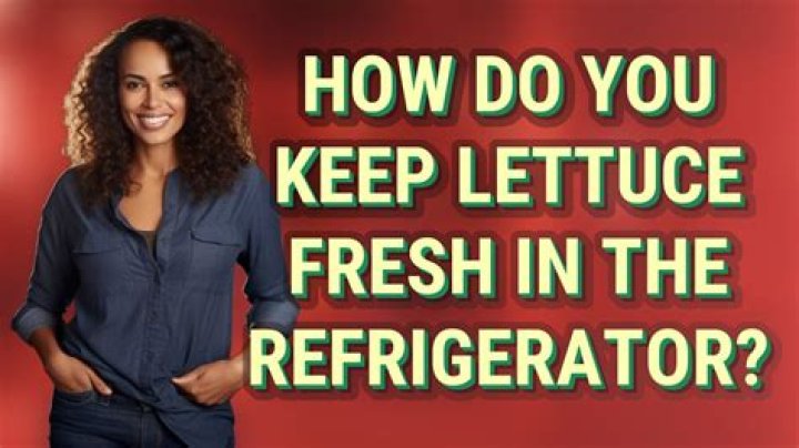 How do you keep lettuce fresh in the refrigerator?