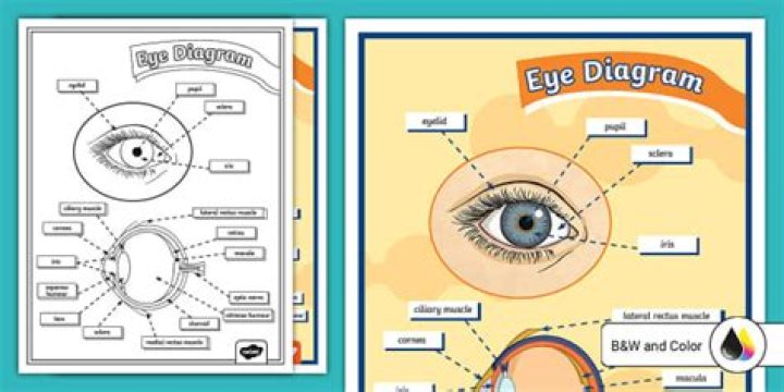 How do you make an eye diagram in Matlab?