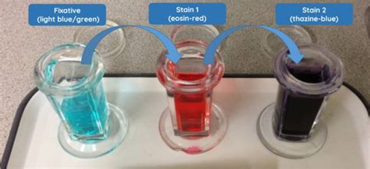 How do you use Diff-Quik stain?