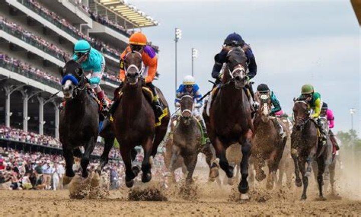 How do you win a Daily Double in horse racing?