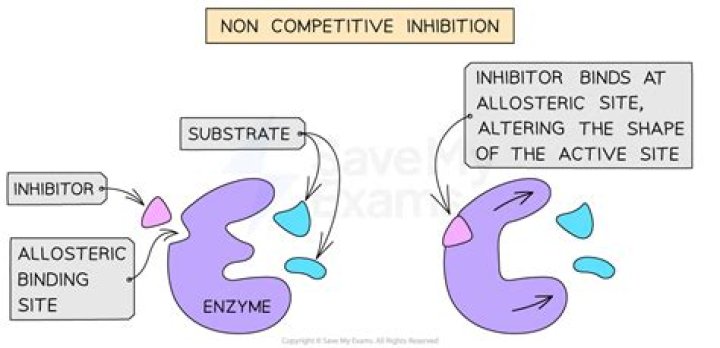 How does a noncompetitive inhibitor work?