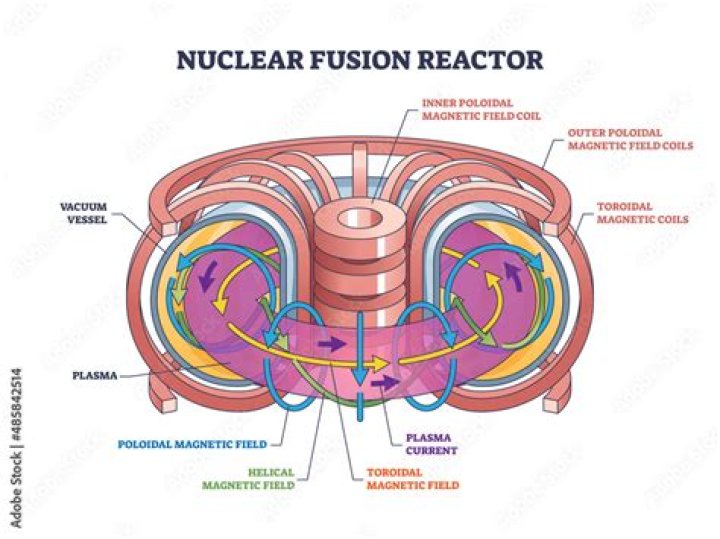 How does a nuclear fusion reactor work?