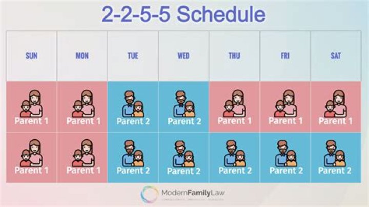 How does custody work with an infant?