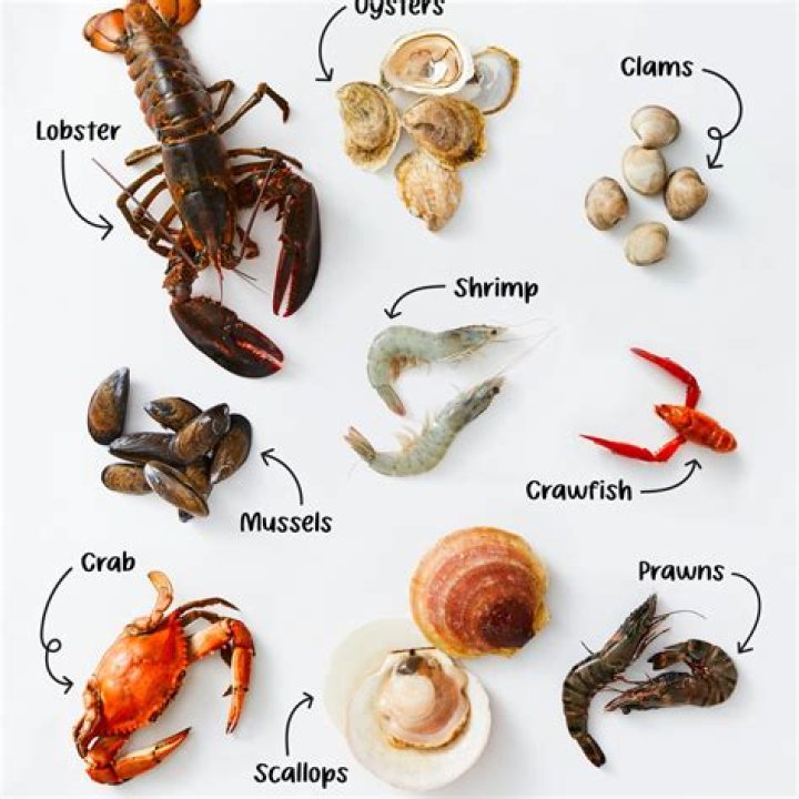 How does the crustacean get its food?