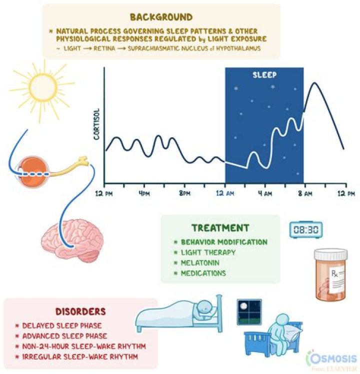 How does trazodone affect sleep cycle?