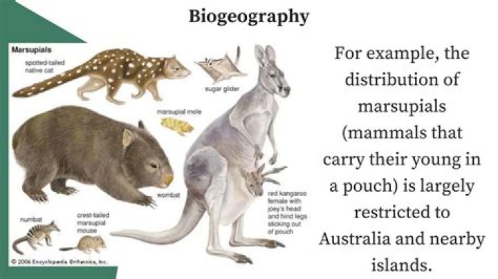 How is Australia an example of biogeography?