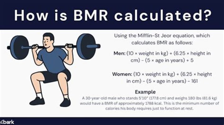 How is BMR calculated?