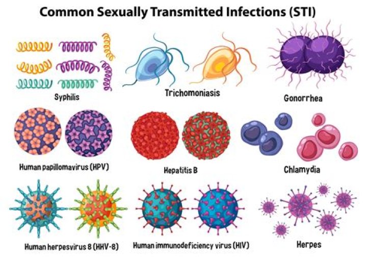 How is canine adenovirus transmitted?