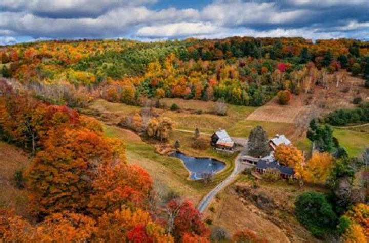 How is Rvot treated in Vermont?