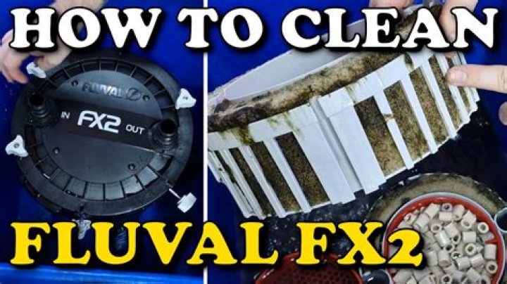 How long does a fluval filter last?