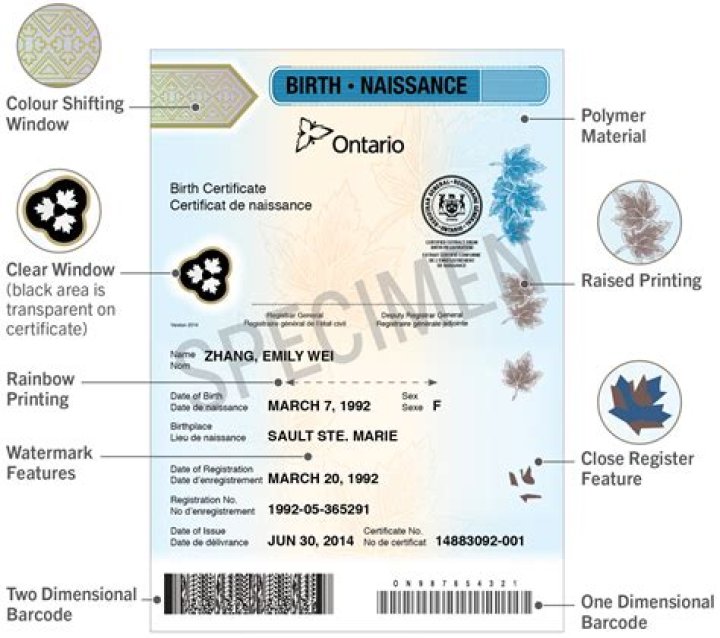 How long does birth registration take in Ontario?