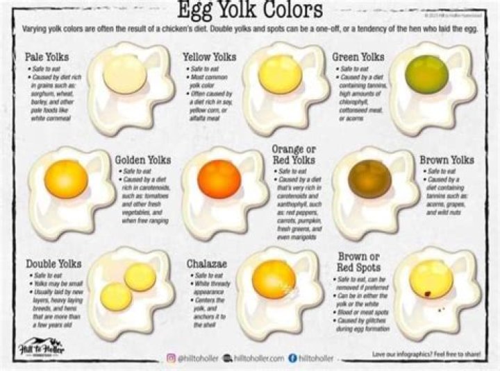 How long does it take for egg yolk to go bad?