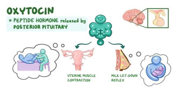How long does it take to go into labor after Pitocin?