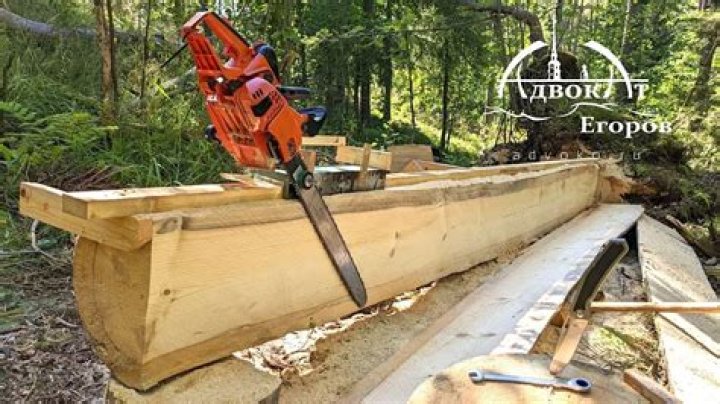 How long should a log dry before cutting into lumber?
