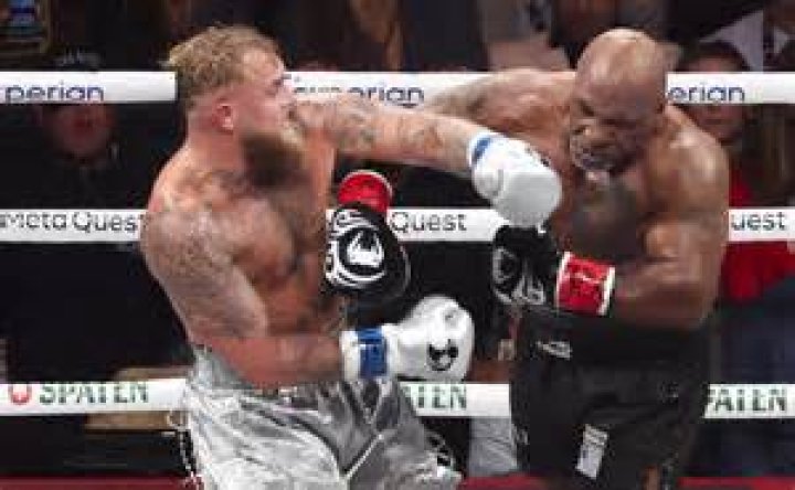 How many fights has Klitschko lost?