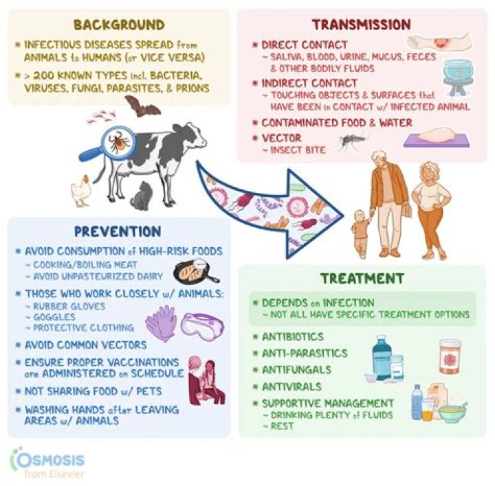 How many rare diseases are there orphanet?