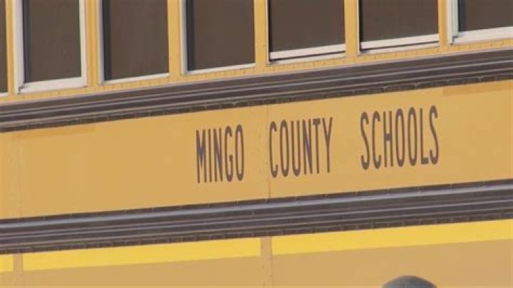 How many schools are in Mingo County?