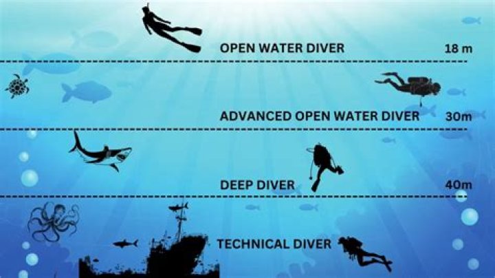 How many scuba divers die each year?
