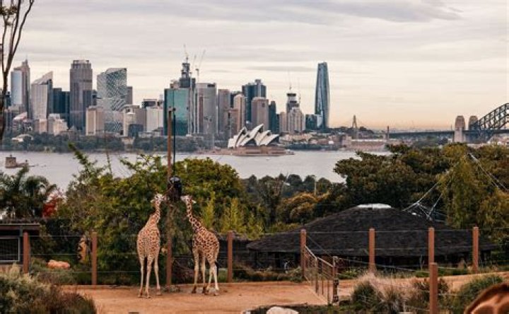 How many zoos are in Cape Town?