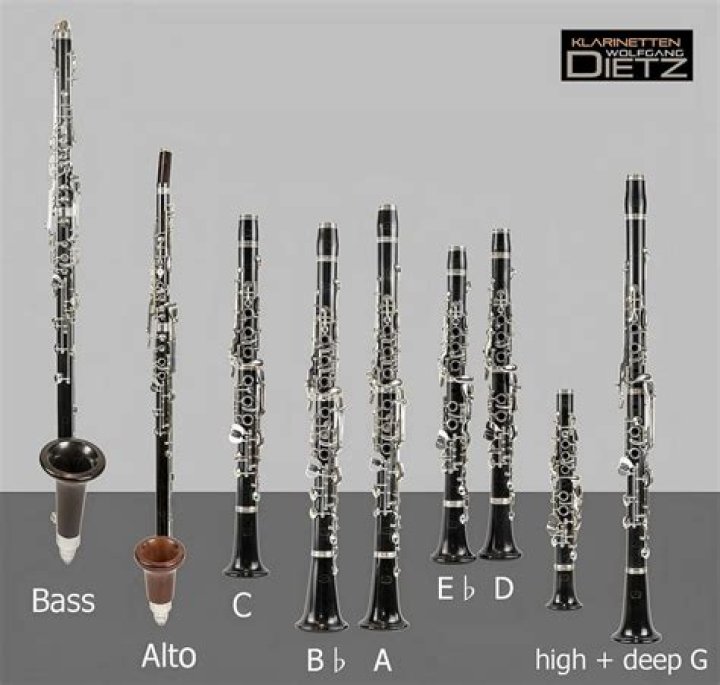 How much are used clarinets?
