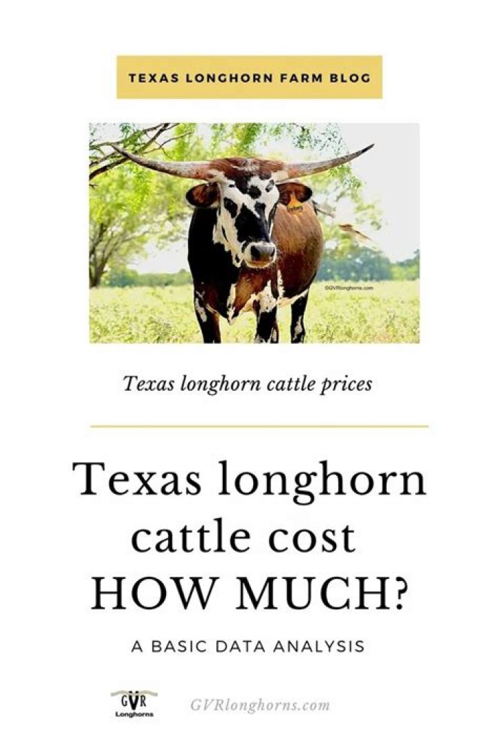 How much do Longhorns cost?