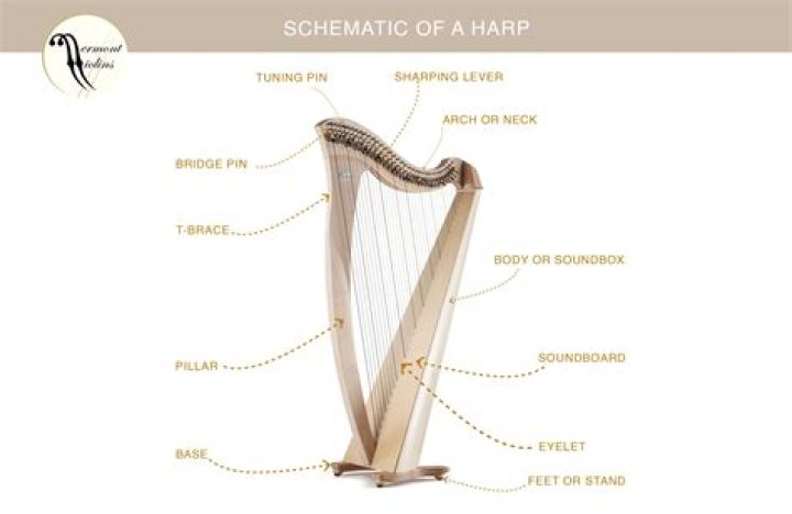 How much does a lever harp cost?