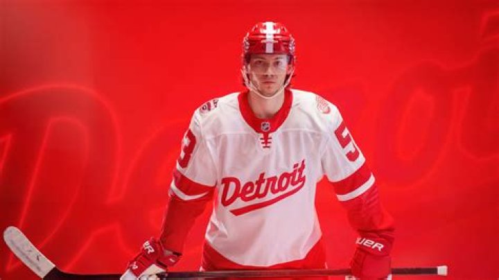 How much does a Red Wing hockey player make?