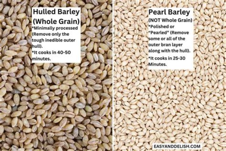 How much does barley yield?
