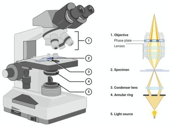 How much does Foldscope cost?