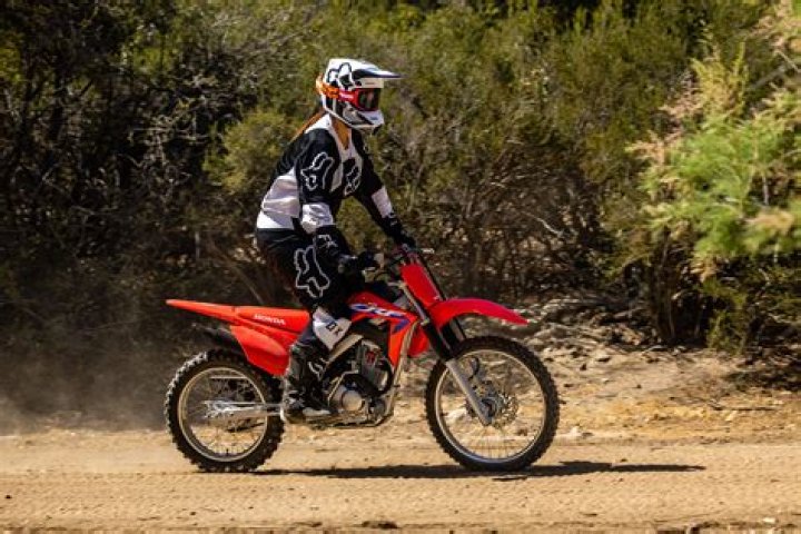 How much is a CRF 110 pit bike?