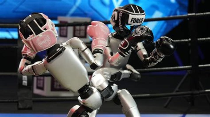 How much is a fighting robot?