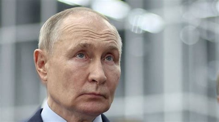 How old is Vladimir Kulich?