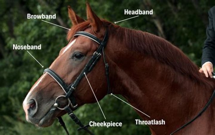 Is a bridle joint strong?