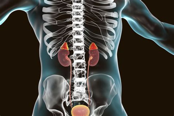Is adrenal adenoma serious?