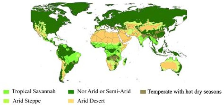 Is Africa a semi-arid?