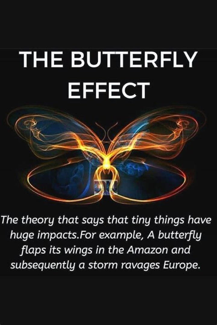 Is butterfly effect legit?