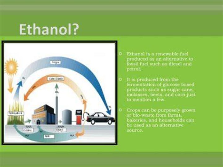 Is ethanol in food bad for you?