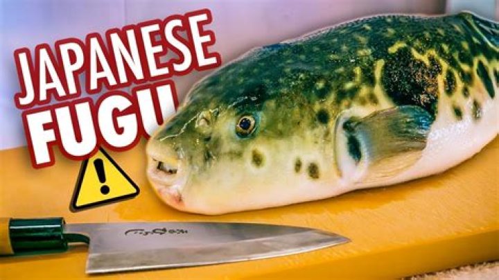 Is fugu poisonous when cooked?