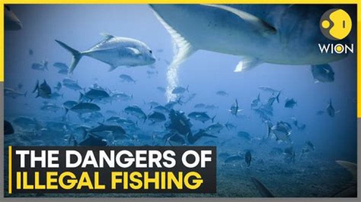 Is it illegal to fish with a treble hook?