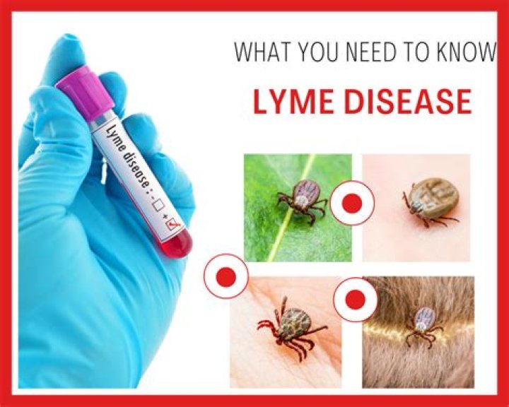 Is Lyme disease Recognised in Australia?