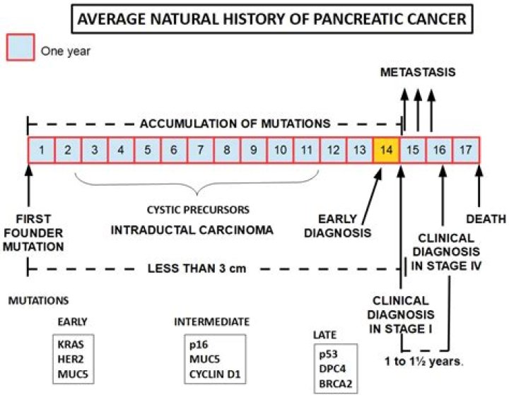 Is pancreatic cancer genetic?
